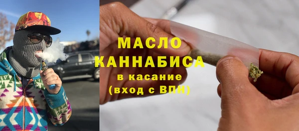 индика Сафоново